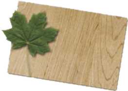 Maple veneer sample