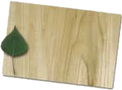 Poplar veneer sample